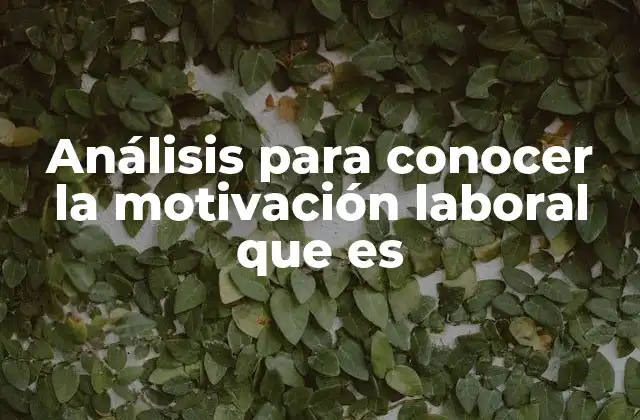 Análisis para Conocer la Motivación Laboral que es