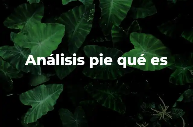 Análisis Pie Qué es