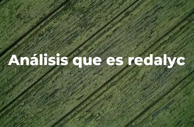 Análisis que es Redalyc