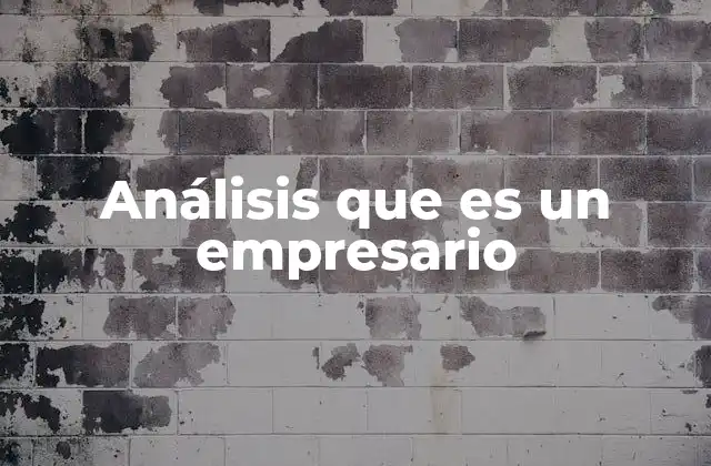Análisis que es un Empresario