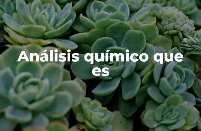 Análisis Químico que es