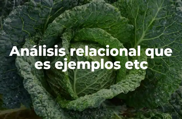 Análisis Relacional que es Ejemplos Etc