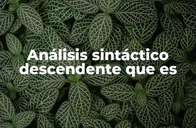 Análisis Sintáctico Descendente que es