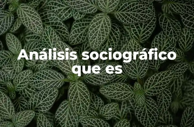 Análisis Sociográfico que es