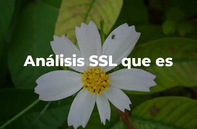 Análisis Ssl que es