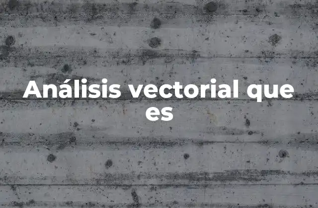 Análisis Vectorial que es