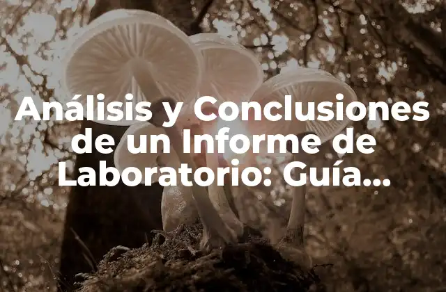 Análisis y Conclusiones de un Informe de Laboratorio: Guía Completa