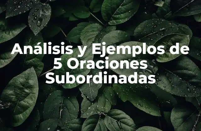 Análisis y Ejemplos de 5 Oraciones Subordinadas