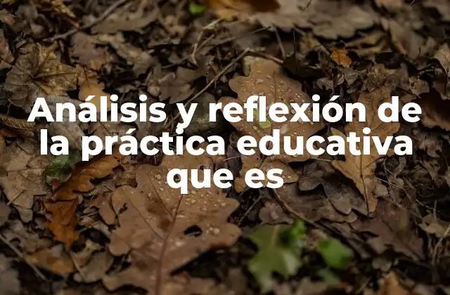 Análisis y Reflexión de la Práctica Educativa que es