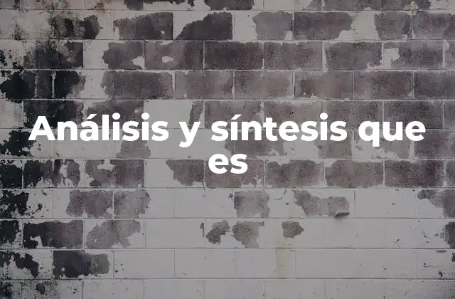 Análisis y Síntesis que es