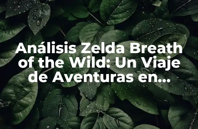 Análisis Zelda Breath Of The Wild: un Viaje de Aventuras en Hyrule