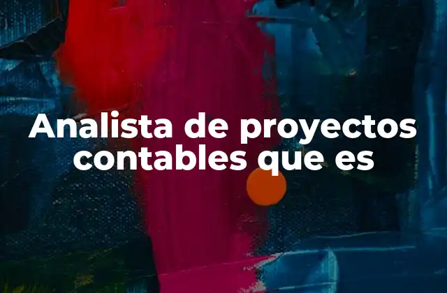 Analista de Proyectos Contables que es