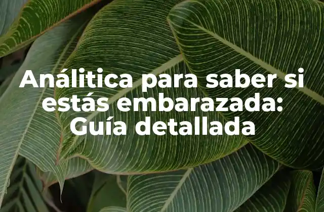 Análitica para Saber Si Estás Embarazada: Guía Detallada