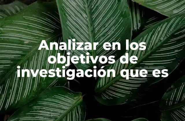 Analizar en los Objetivos de Investigación que es