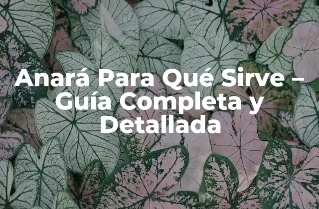 Anará para Qué Sirve – Guía Completa y Detallada
