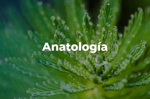 Anatología 2 El estudio de la estructura corporal en la ciencia moderna