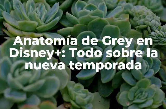 ¿Cuándo se estrenó la nueva temporada de Anatomía de Grey en Disney+?