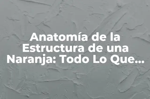 Anatomía de la Estructura de una Naranja: Todo Lo que Necesitas Saber