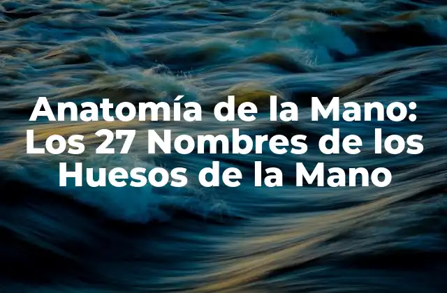 Anatomía de la Mano: los 27 Nombres de los Huesos de la Mano