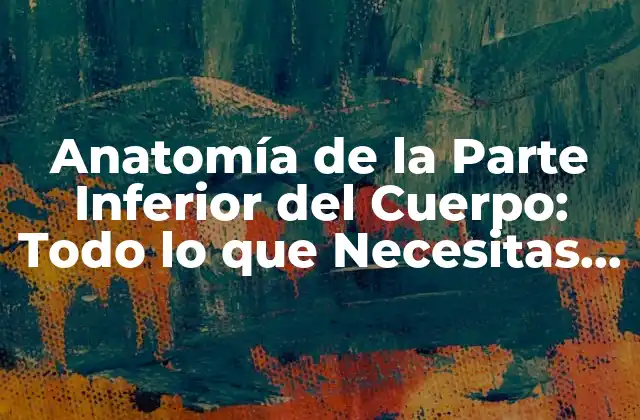 Anatomía de la Parte Inferior Del Cuerpo: Todo Lo que Necesitas Saber