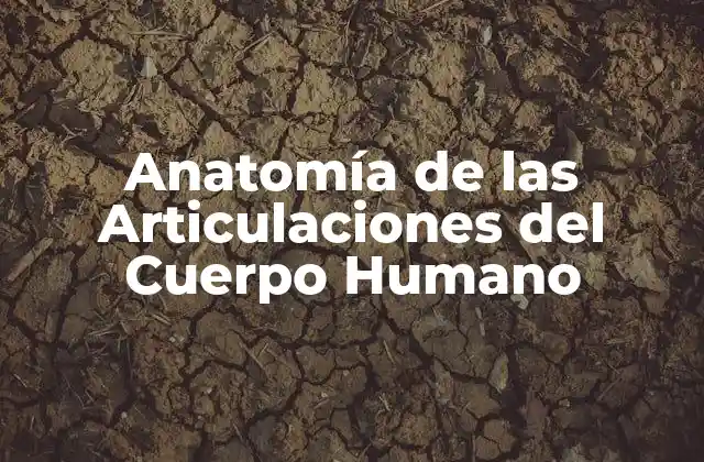 Anatomía de las Articulaciones Del Cuerpo Humano