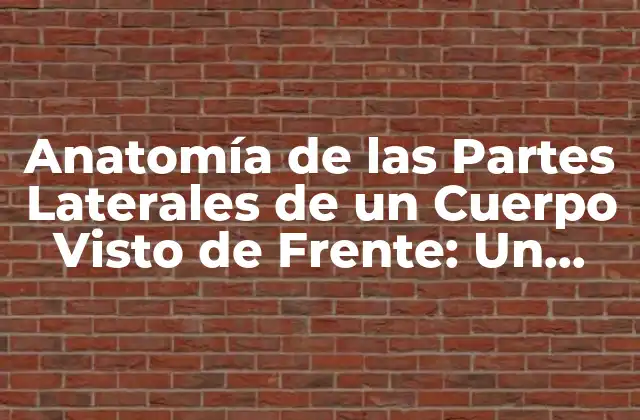 Anatomía de las Partes Laterales de un Cuerpo Visto de Frente: un Enfoque Detallado