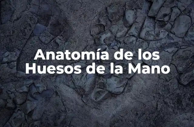 Anatomía de los Huesos de la Mano