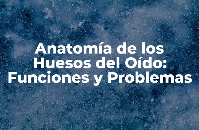 Anatomía de los Huesos Del Oído: Funciones y Problemas 2 ¿Qué son los Huesos del Oído?