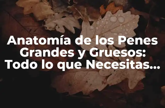 Anatomía de los Penes Grandes y Gruesos: Todo Lo que Necesitas Saber