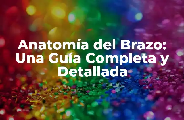 Estructura Ósea del Brazo