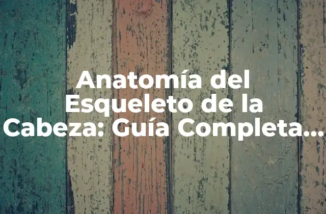 Anatomía Del Esqueleto de la Cabeza: Guía Completa y Detallada