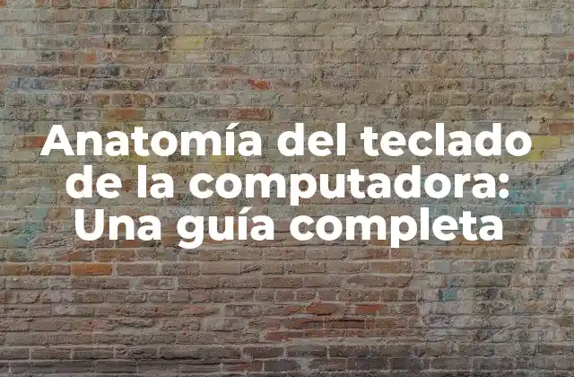 Anatomía Del Teclado de la Computadora: una Guía Completa