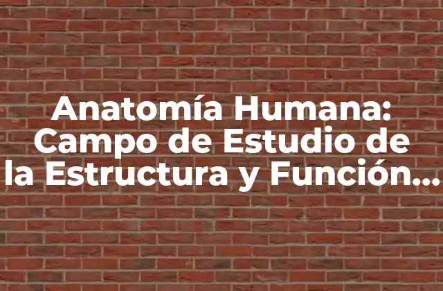 Anatomía Humana: Campo de Estudio de la Estructura y Función Del Cuerpo Humano
