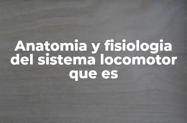 La base estructural del sistema locomotor