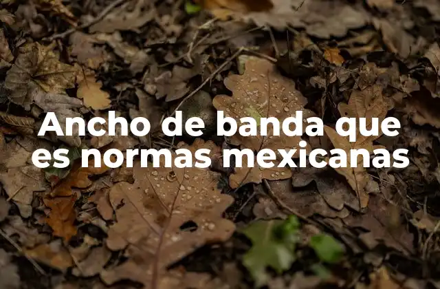 Ancho de Banda que es Normas Mexicanas 2 La importancia del ancho de banda en las telecomunicaciones