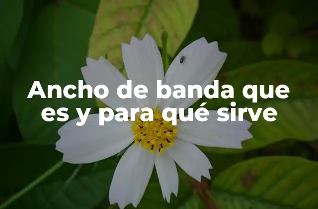 Ancho de Banda que es y para Qué Sirve