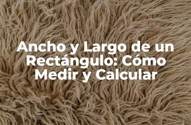 Ancho y Largo de un Rectángulo: Cómo Medir y Calcular