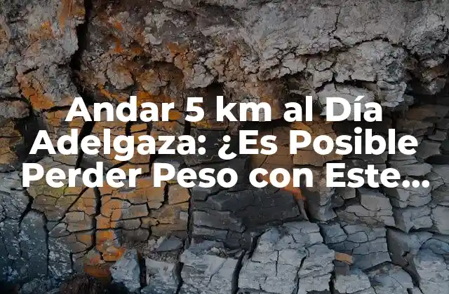 Andar 5 Km Al Día Adelgaza: ¿es Posible Perder Peso con Este Método?