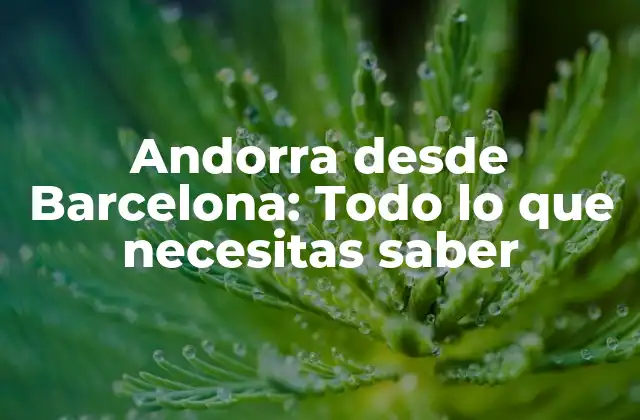 Andorra desde Barcelona: Todo Lo que Necesitas Saber