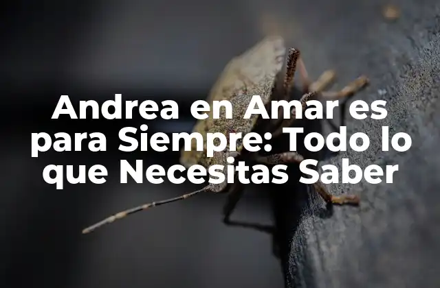 Andrea en Amar es para Siempre: Todo Lo que Necesitas Saber