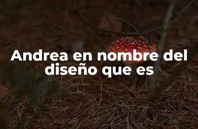Andrea en Nombre Del Diseño que es