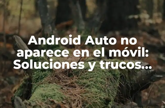Causas comunes de Android Auto no aparece en el móvil