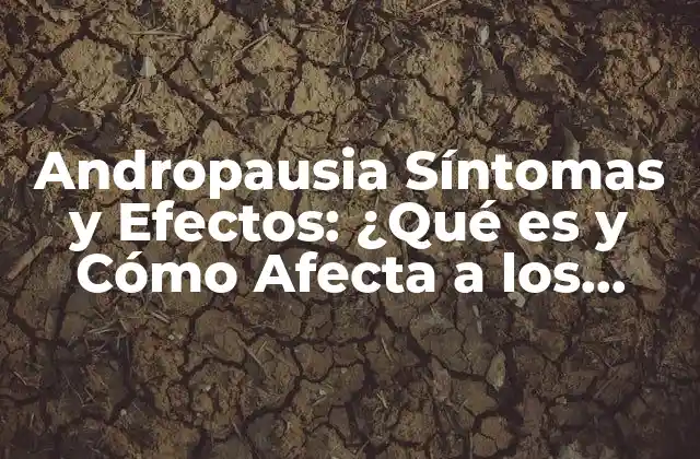 Andropausia Síntomas y Efectos: ¿qué es y Cómo Afecta a los Hombres? 2 Causas de la Andropausia