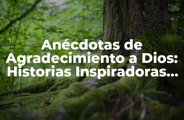 Anécdotas de Agradecimiento a Dios: Historias Inspiradoras de Fe y Esperanza