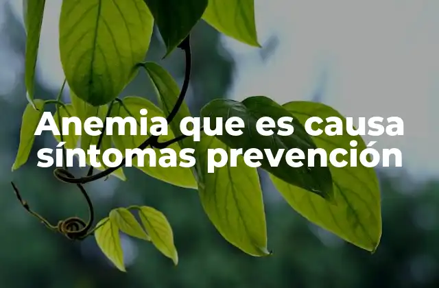 Anemia que es Causa Síntomas Prevención 2 Factores que pueden llevar al desarrollo de anemia