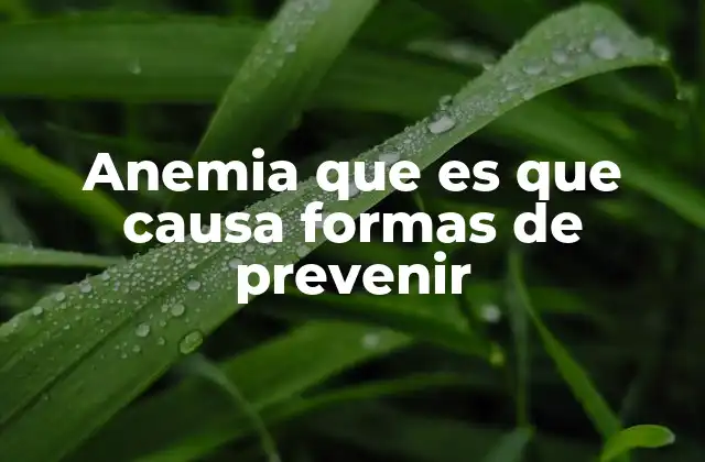 Anemia que es que Causa Formas de Prevenir