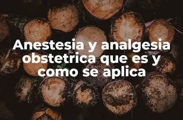 Anestesia y Analgesia Obstetrica que es y como Se Aplica