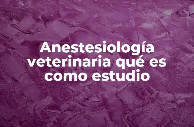Anestesiología Veterinaria Qué es como Estudio