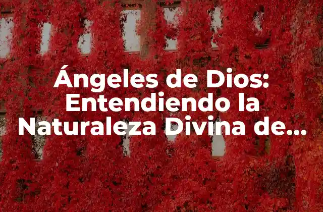 Ángeles de Dios: Entendiendo la Naturaleza Divina de los Mensajeros Celestiales