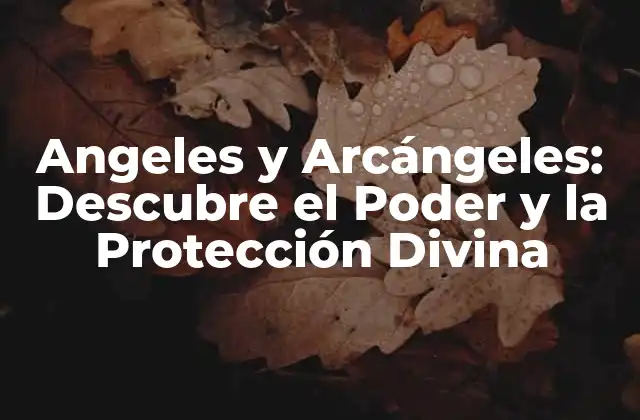 Angeles y Arcángeles: Descubre el Poder y la Protección Divina 2 ¿Quiénes son los Ángeles?